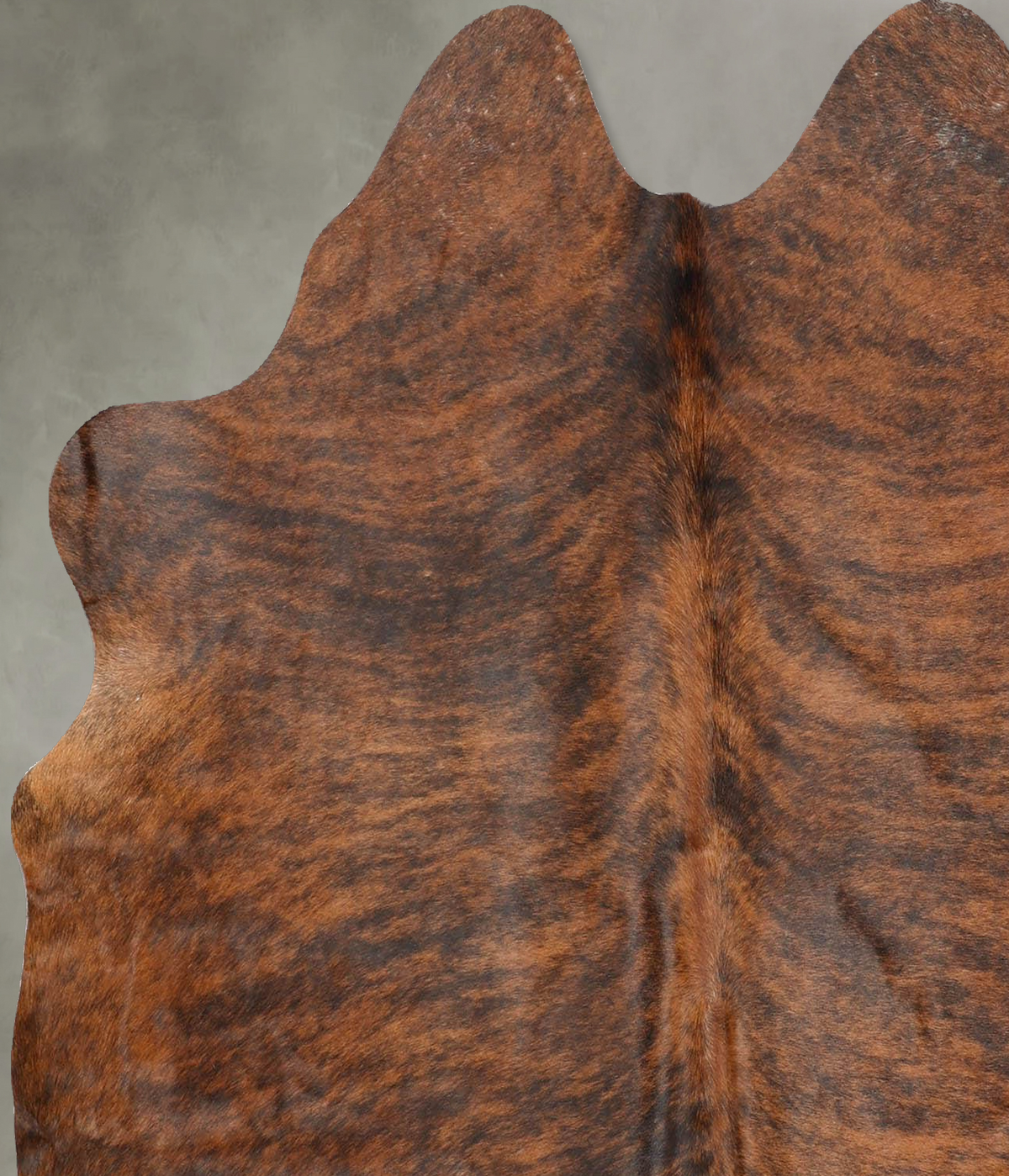 Medium Brindle Medium Brazilian Cowhide Rug 5'4"H x 5'1"W #B30835 by Hudson Hides