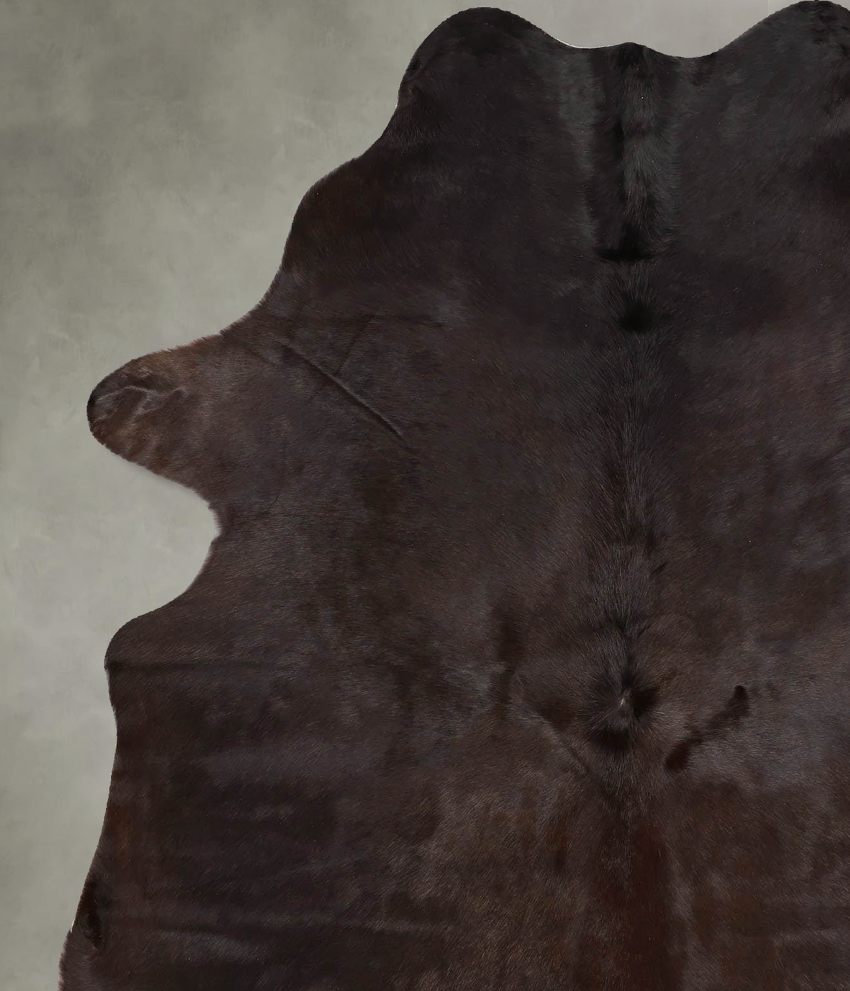 Chocolate Large Brazilian Cowhide Rug 6'9"H x 5'2"W #B30839 by Hudson Hides