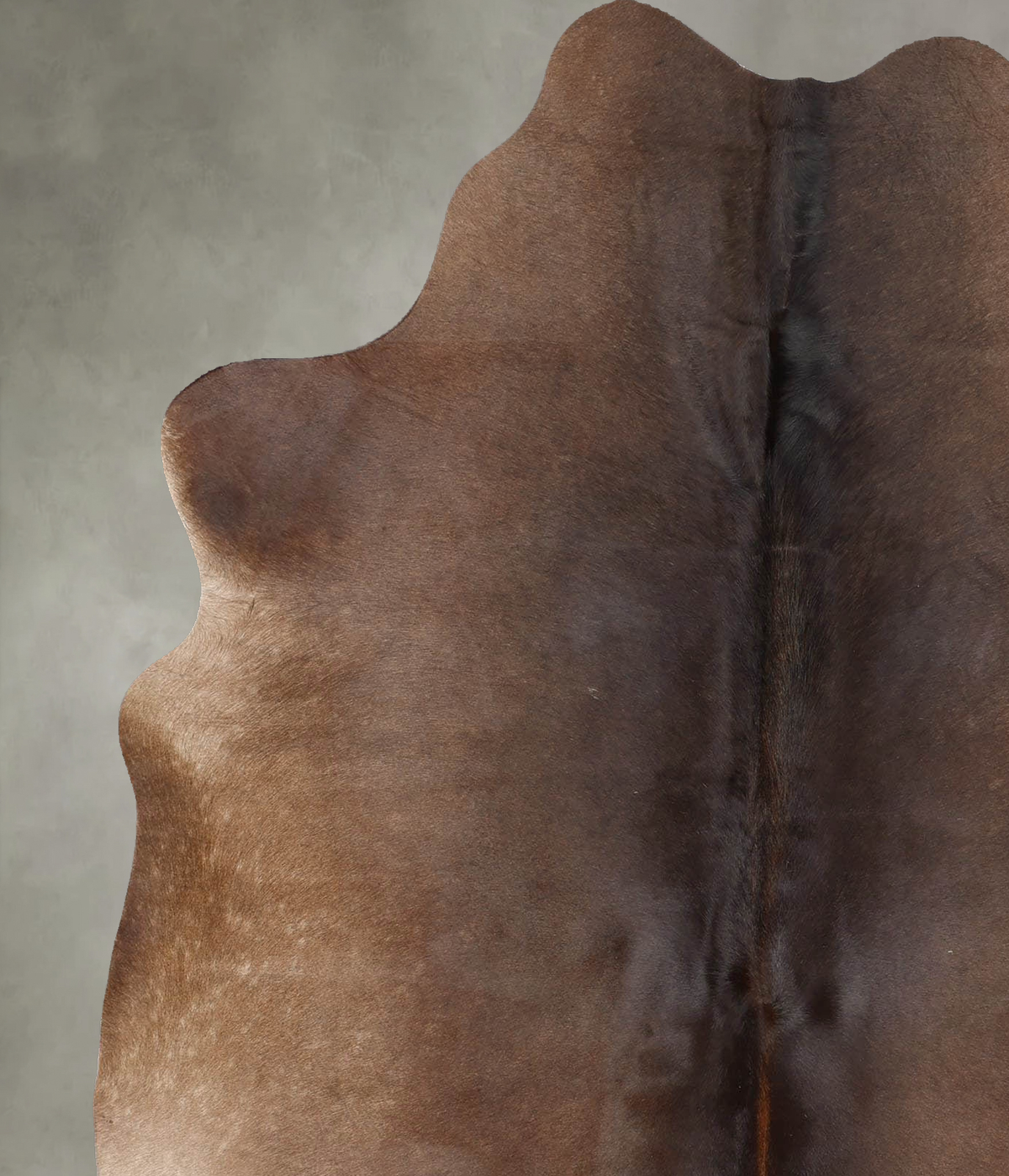 Chocolate Large Brazilian Cowhide Rug 6'8"H x 5'5"W #B30841 by Hudson Hides