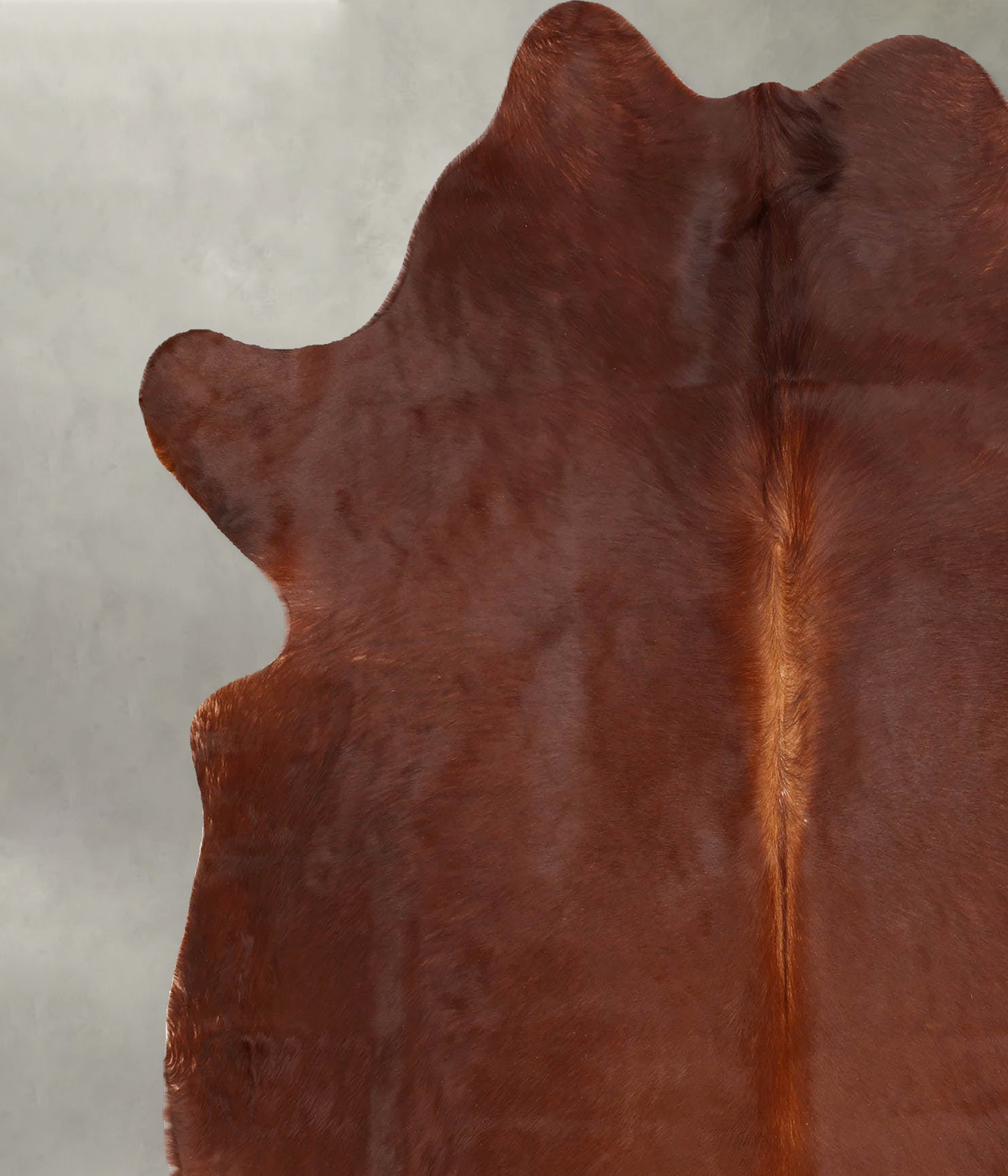 Solid Brown X-Large Brazilian Cowhide Rug 6'10"H x 5'10"W #B30842 by Hudson Hides