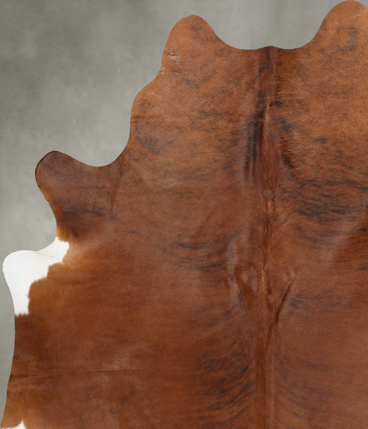 Medium Brindle X-Large Brazilian Cowhide Rug 7'6"H x 6'0"W #B30862 by Hudson Hides