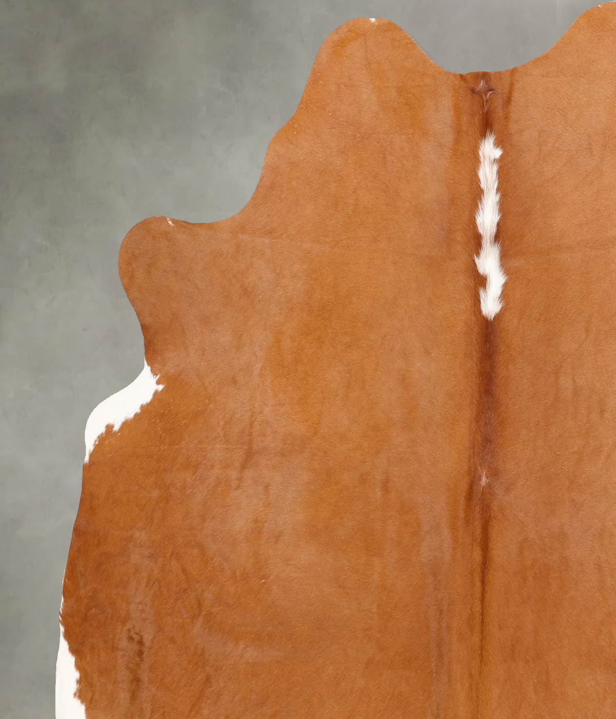 Beige Large Brazilian Cowhide Rug 6'6"H x 5'10"W #B30864 by Hudson Hides