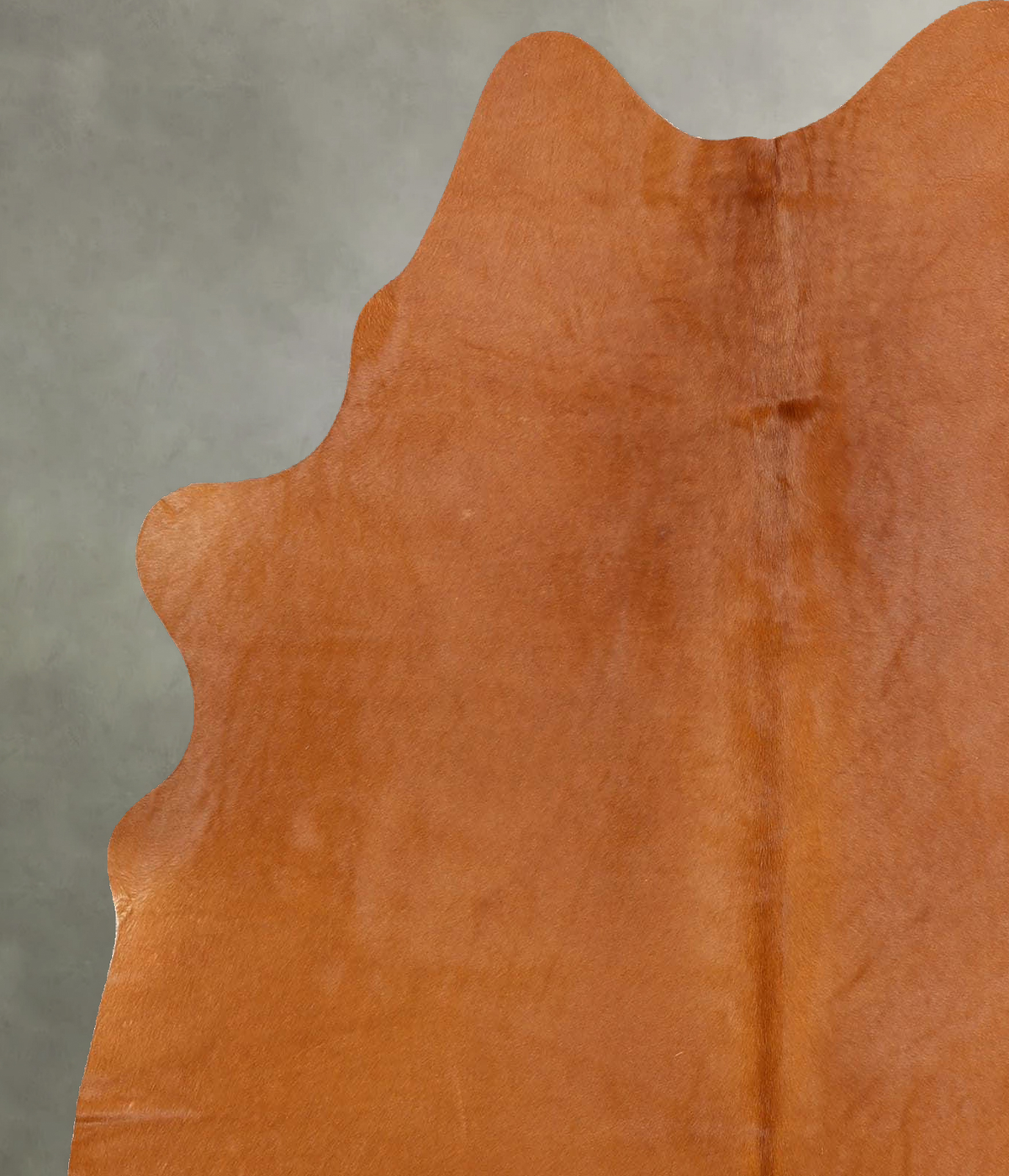 Solid Brown Large Brazilian Cowhide Rug 6'1"H x 5'4"W #B30868 by Hudson Hides