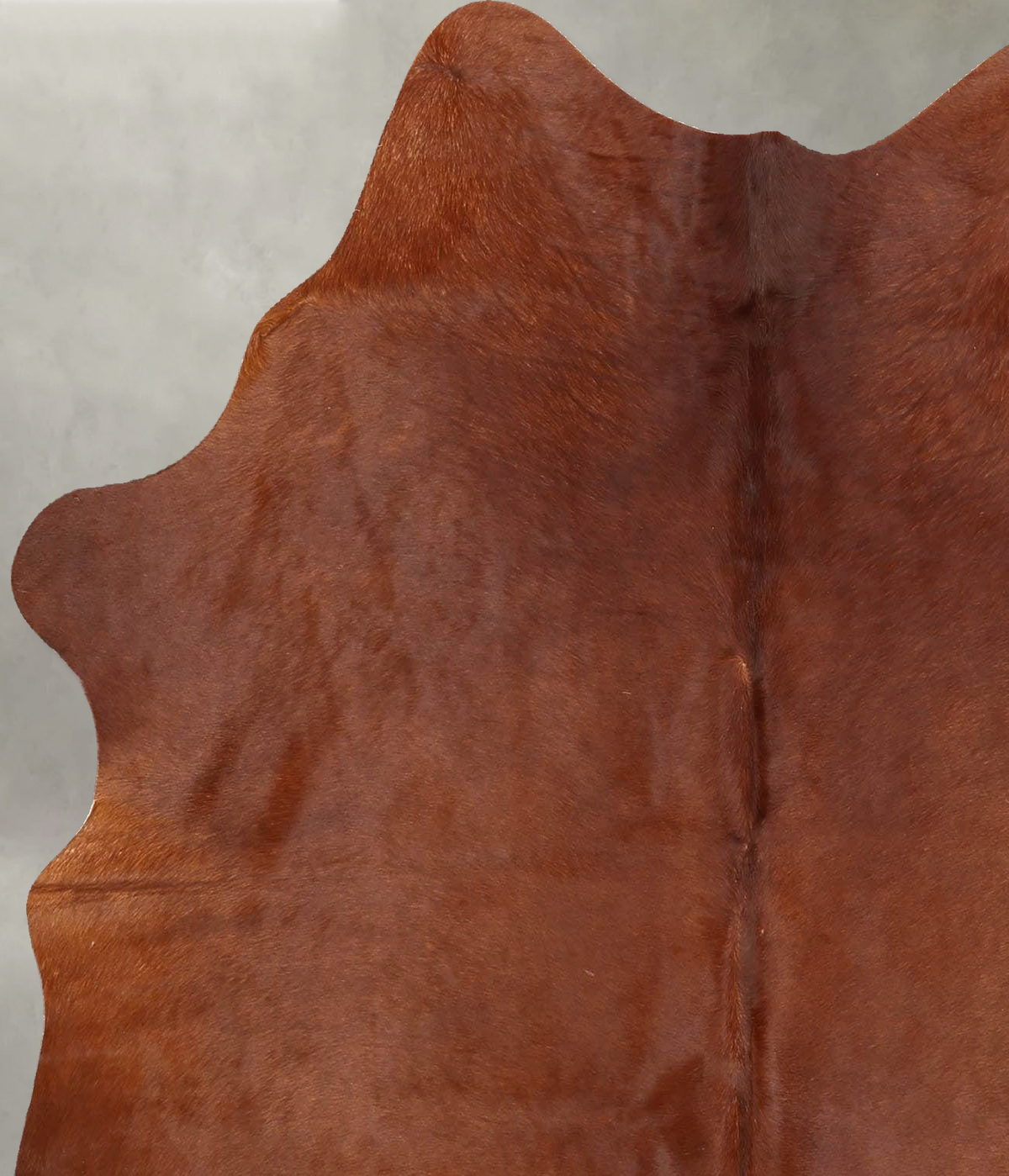 Solid Brown Medium Brazilian Cowhide Rug 5'9"H x 5'1"W #B30869 by Hudson Hides