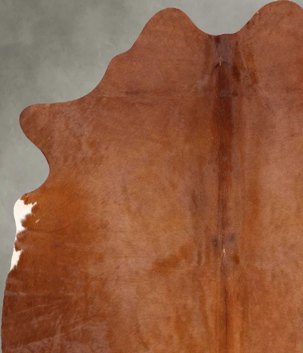 Solid Brown Large Brazilian Cowhide Rug 6'7"H x 5'2"W #B30877 by Hudson Hides