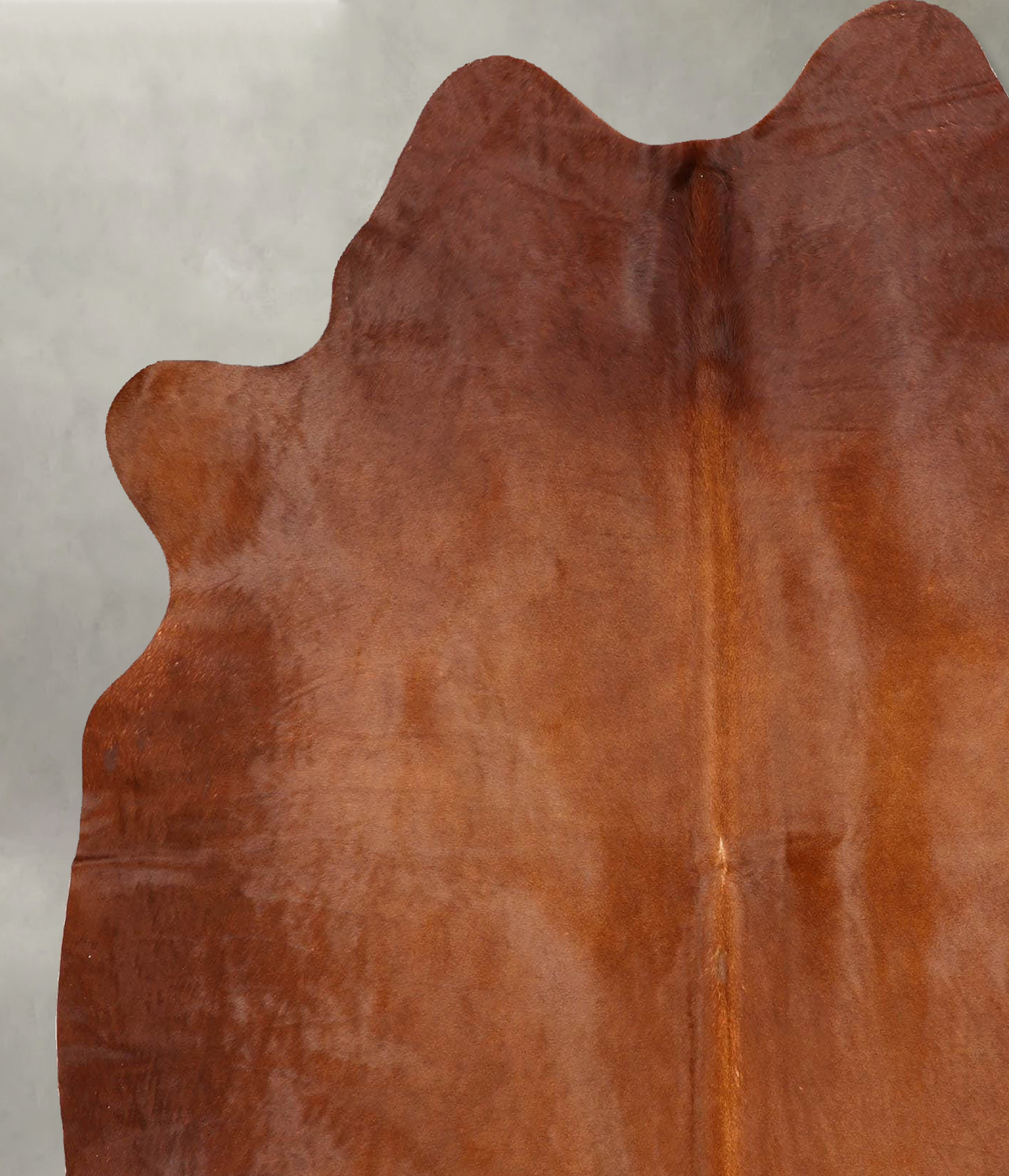 Solid Brown Large Brazilian Cowhide Rug 6'6"H x 5'6"W #B30879 by Hudson Hides