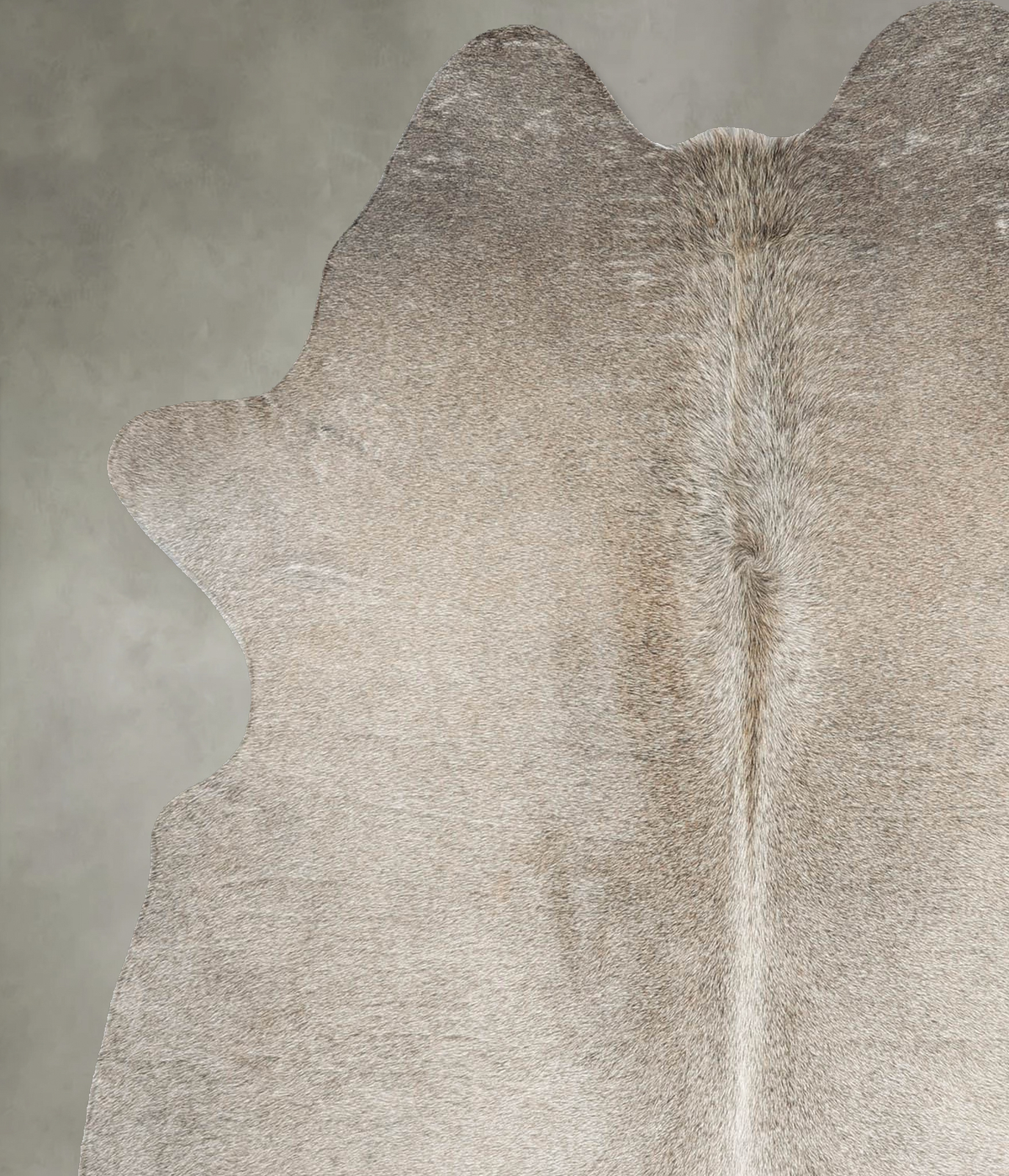 Medium Grey Medium Brazilian Cowhide Rug 5'10"H x 5'1"W #B30880 by Hudson Hides