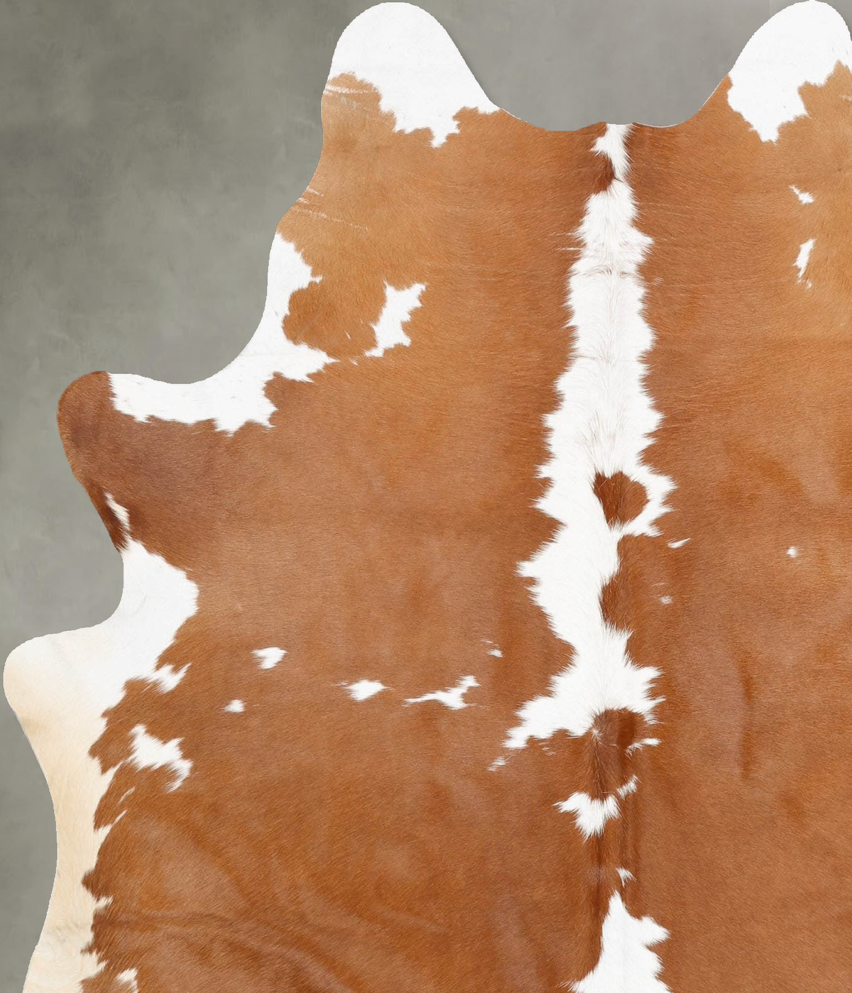 Beige and White Large Brazilian Cowhide Rug 7'0"H x 5'5"W #B30881 by Hudson Hides