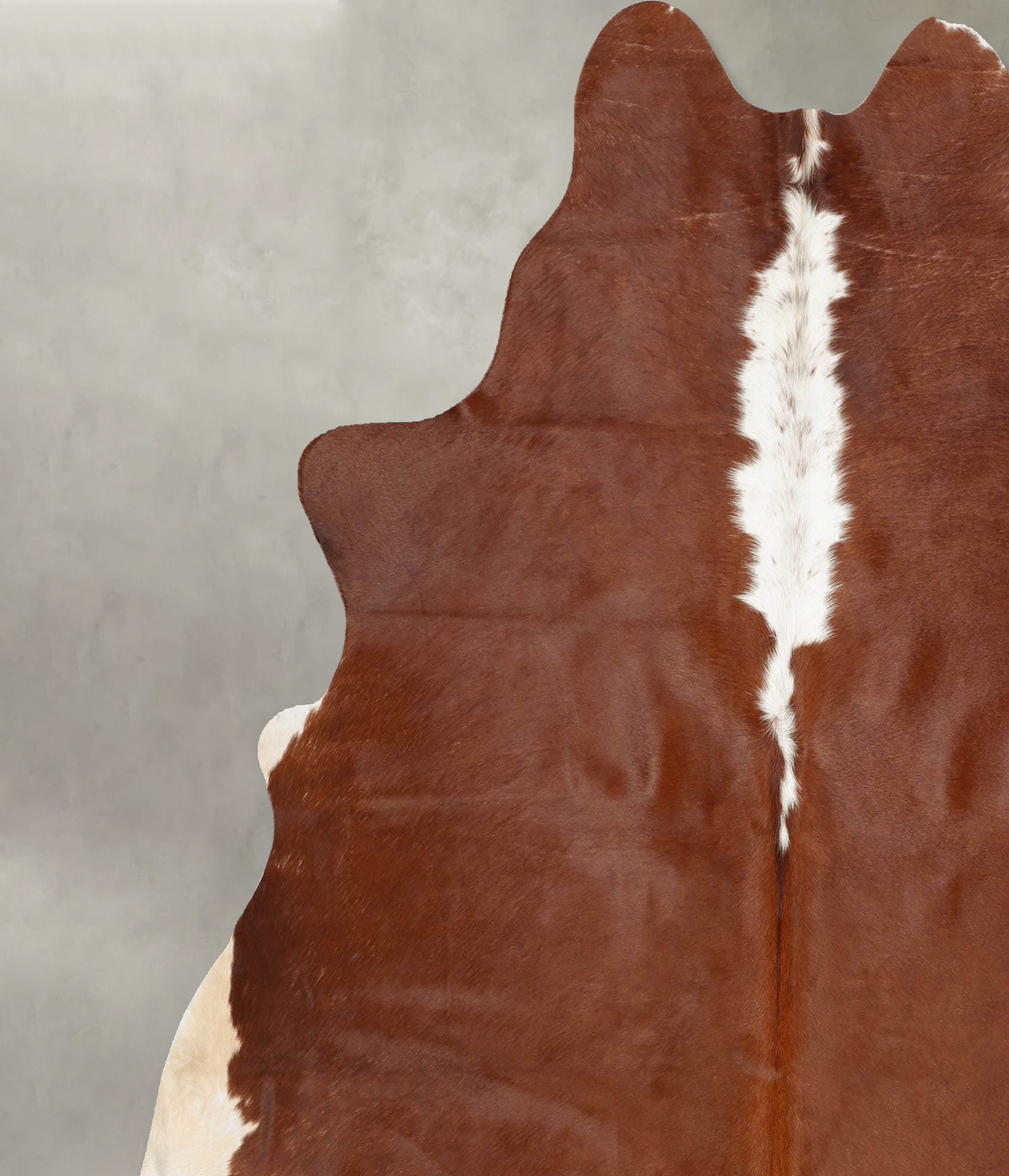 Hereford X-Large Brazilian Cowhide Rug 7'1"H x 6'8"W #B30883 by Hudson Hides