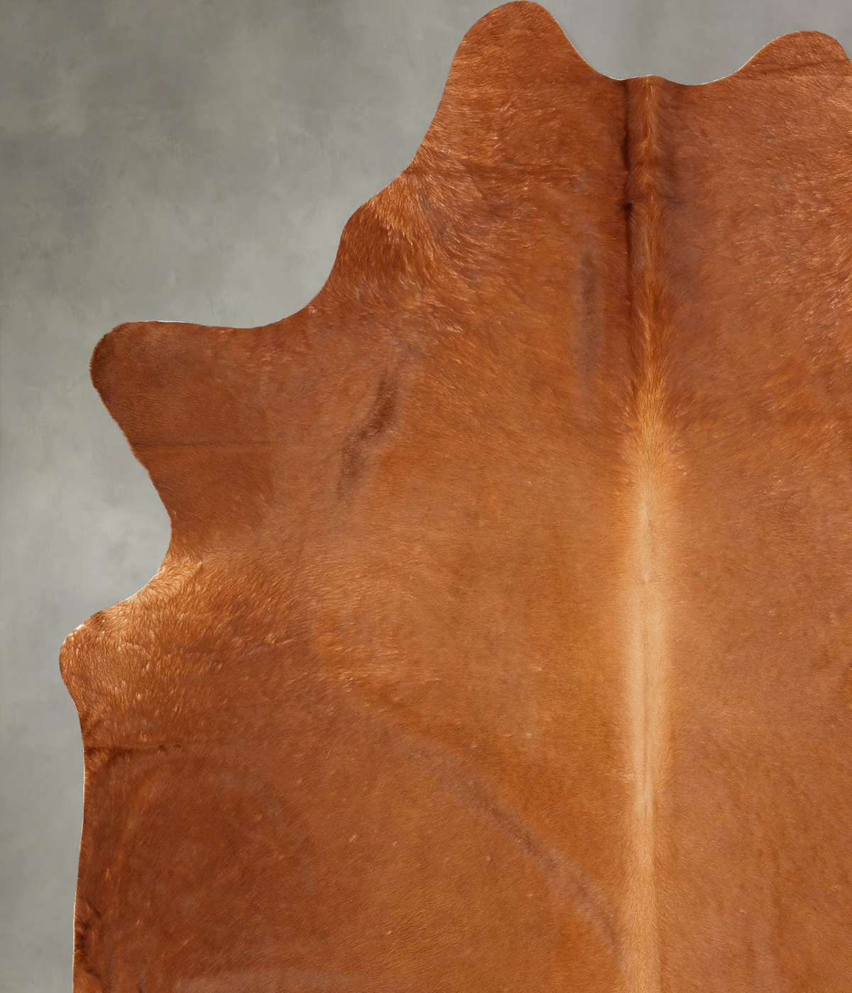 Solid Brown XX-Large Brazilian Cowhide Rug 8'0"H x 6'4"W #B30886 by Hudson Hides