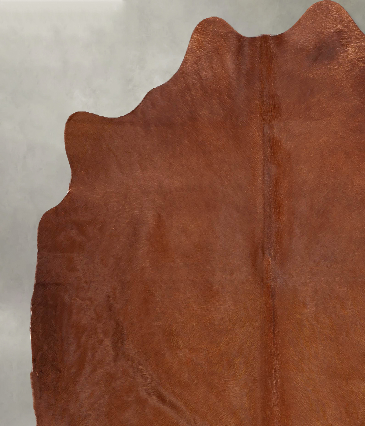 Solid Brown X-Large Brazilian Cowhide Rug 6'8"H x 6'3"W #B30887 by Hudson Hides