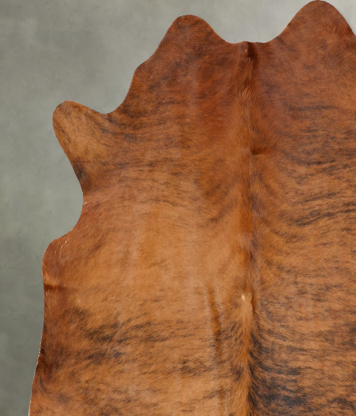 Medium Brindle X-Large Brazilian Cowhide Rug 6'7"H x 6'5"W #B30888 by Hudson Hides