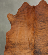Medium Brindle X-Large Brazilian Cowhide Rug 6'7"H x 6'5"W #B30888 by Hudson Hides
