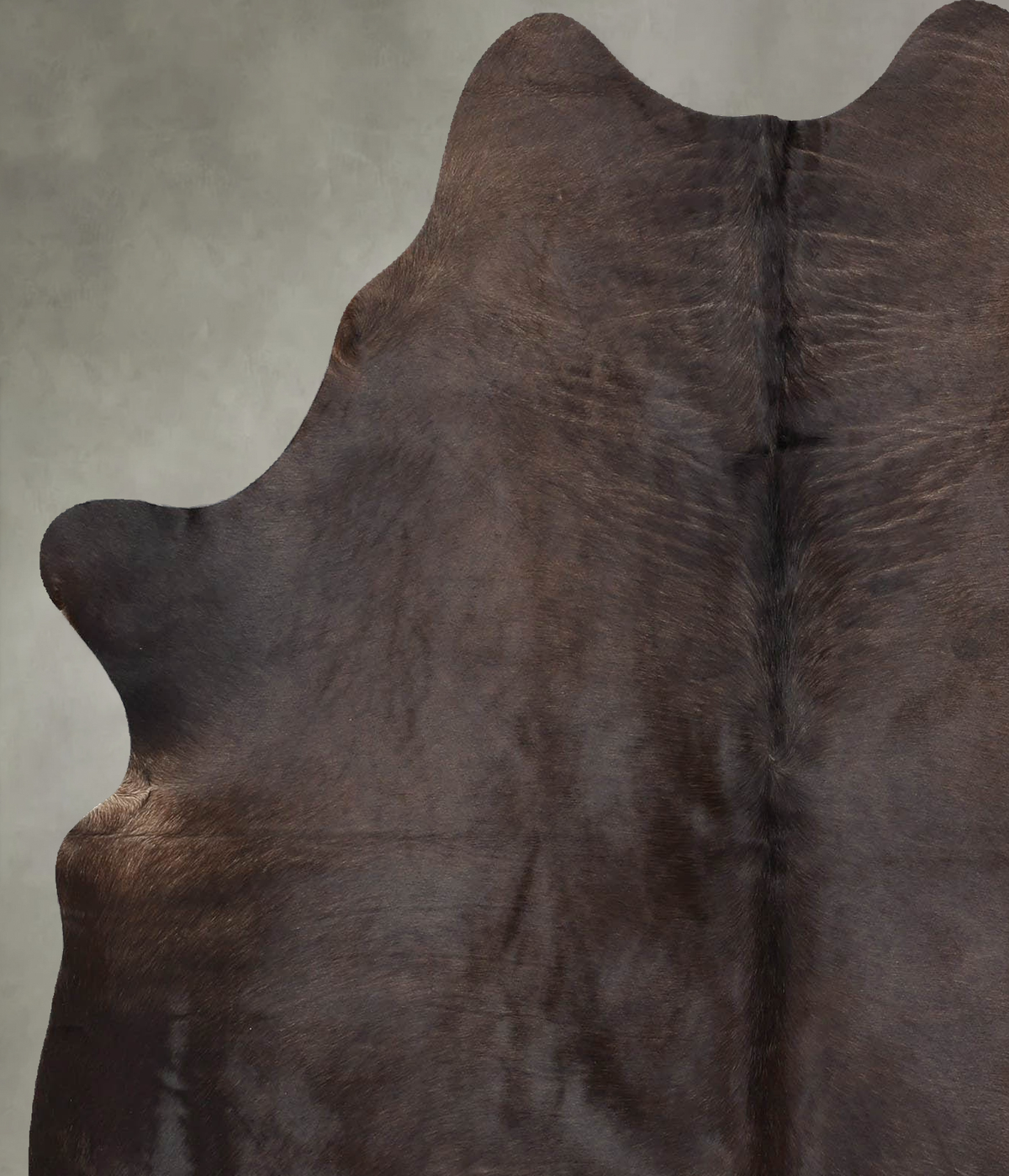 Chocolate Large Brazilian Cowhide Rug 6'5"H x 5'3"W #B30890 by Hudson Hides