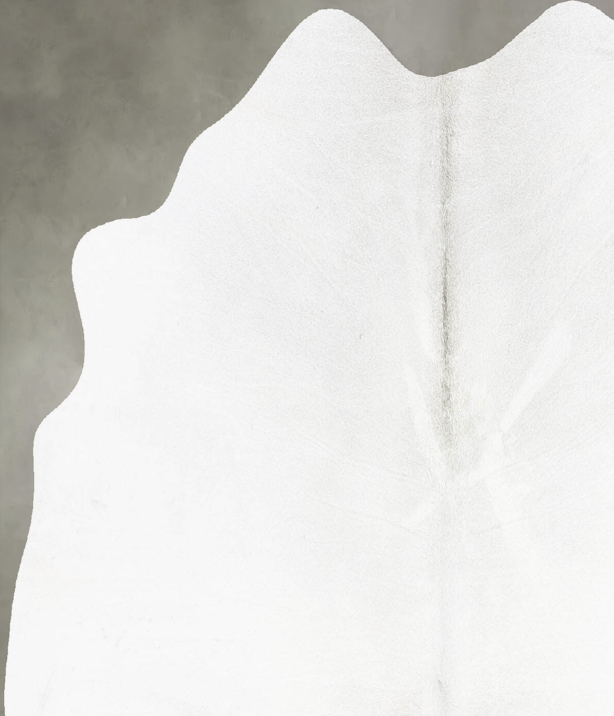 Light Grey Medium Brazilian Cowhide Rug 5'1"H x 4'8"W #B30915 by Hudson Hides