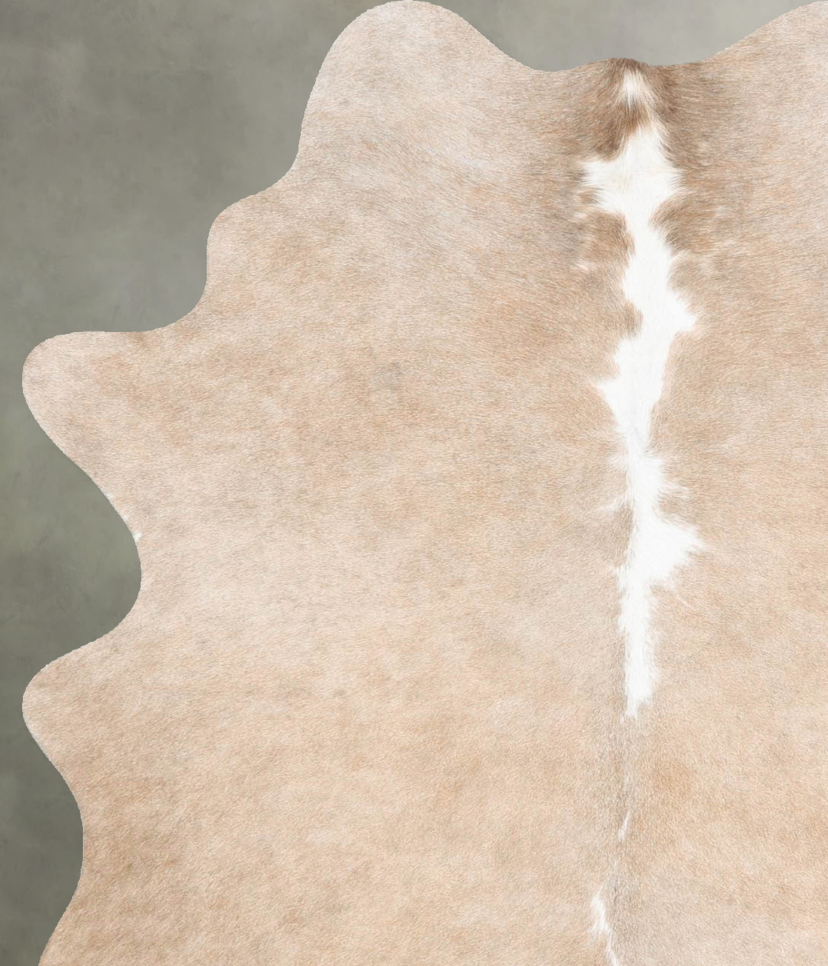 Taupe Medium Brazilian Cowhide Rug 5'11"H x 4'3"W #B30926 by Hudson Hides