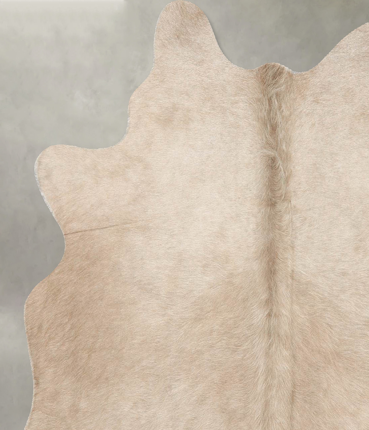 Taupe Medium Brazilian Cowhide Rug 4'8"H x 4'4"W #B30927 by Hudson Hides