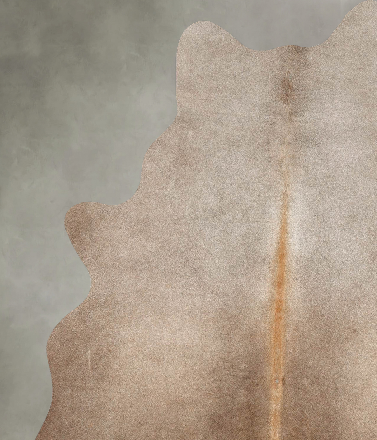 Taupe Large Brazilian Cowhide Rug 6'3"H x 5'0"W #B30928 by Hudson Hides