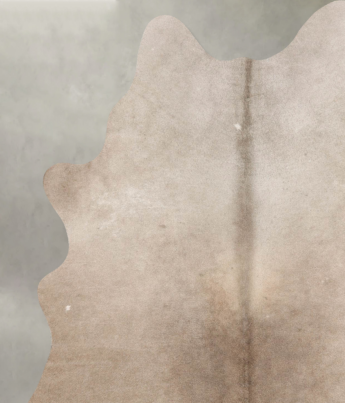 Taupe Large Brazilian Cowhide Rug 6'3"H x 4'11"W #B30929 by Hudson Hides