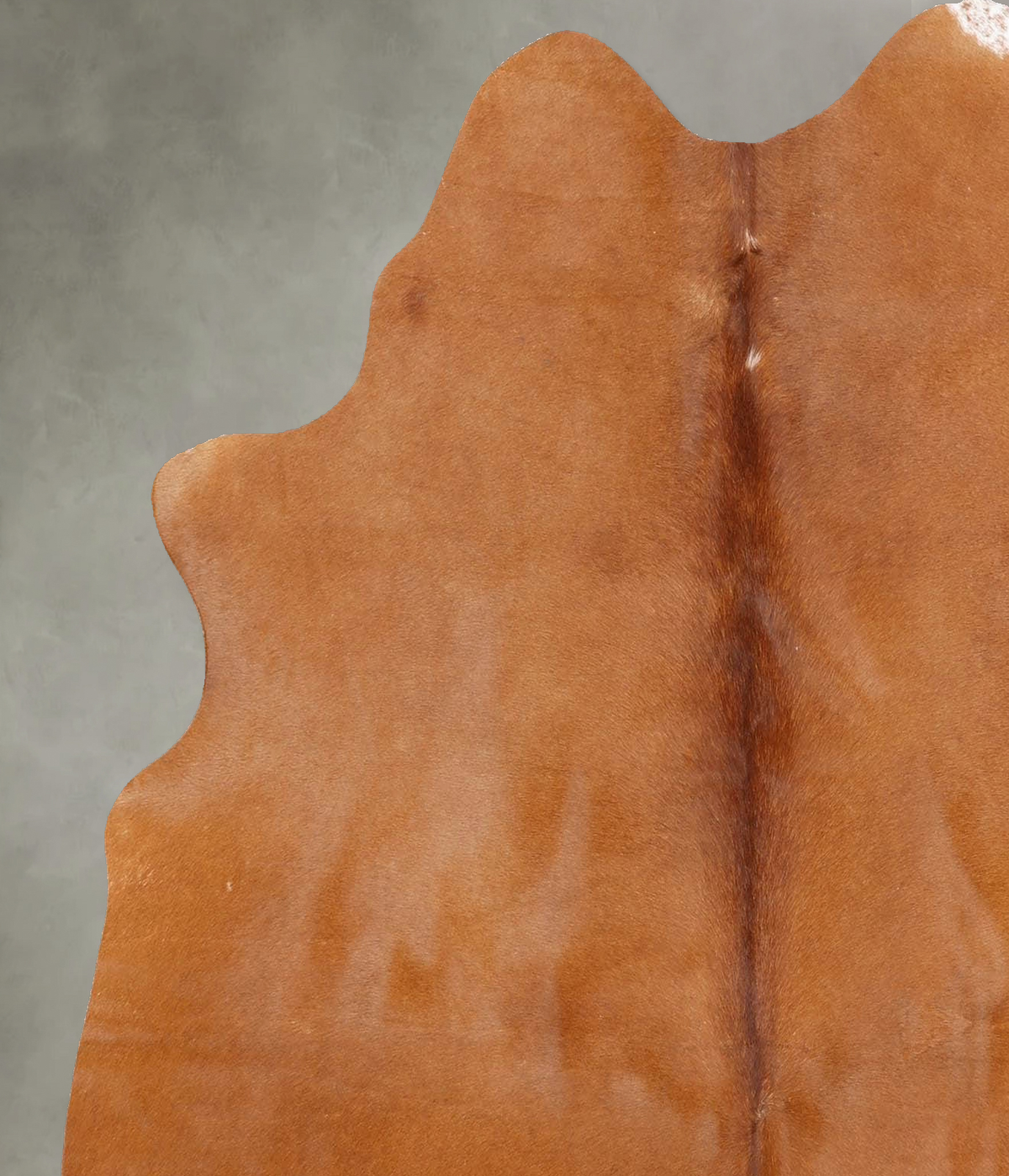 Solid Brown Medium Brazilian Cowhide Rug 5'9"H x 5'2"W #B30931 by Hudson Hides