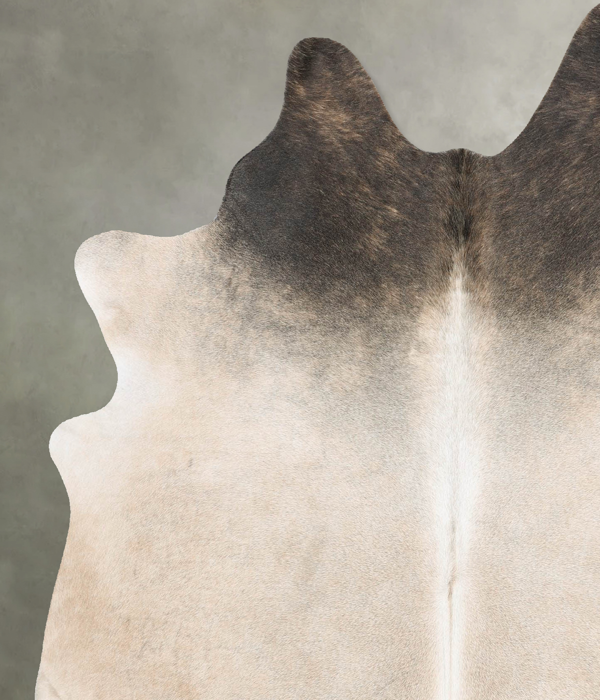 Grey with Beige Large Brazilian Cowhide Rug 6'7"H x 5'8"W #B30937 by Hudson Hides