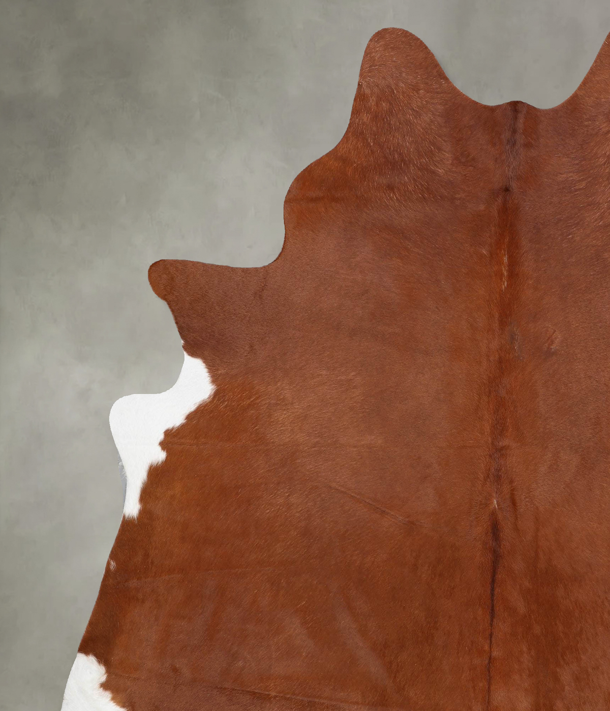 Solid Brown XX-Large Brazilian Cowhide Rug 8'2"H x 6'9"W #B30945 by Hudson Hides