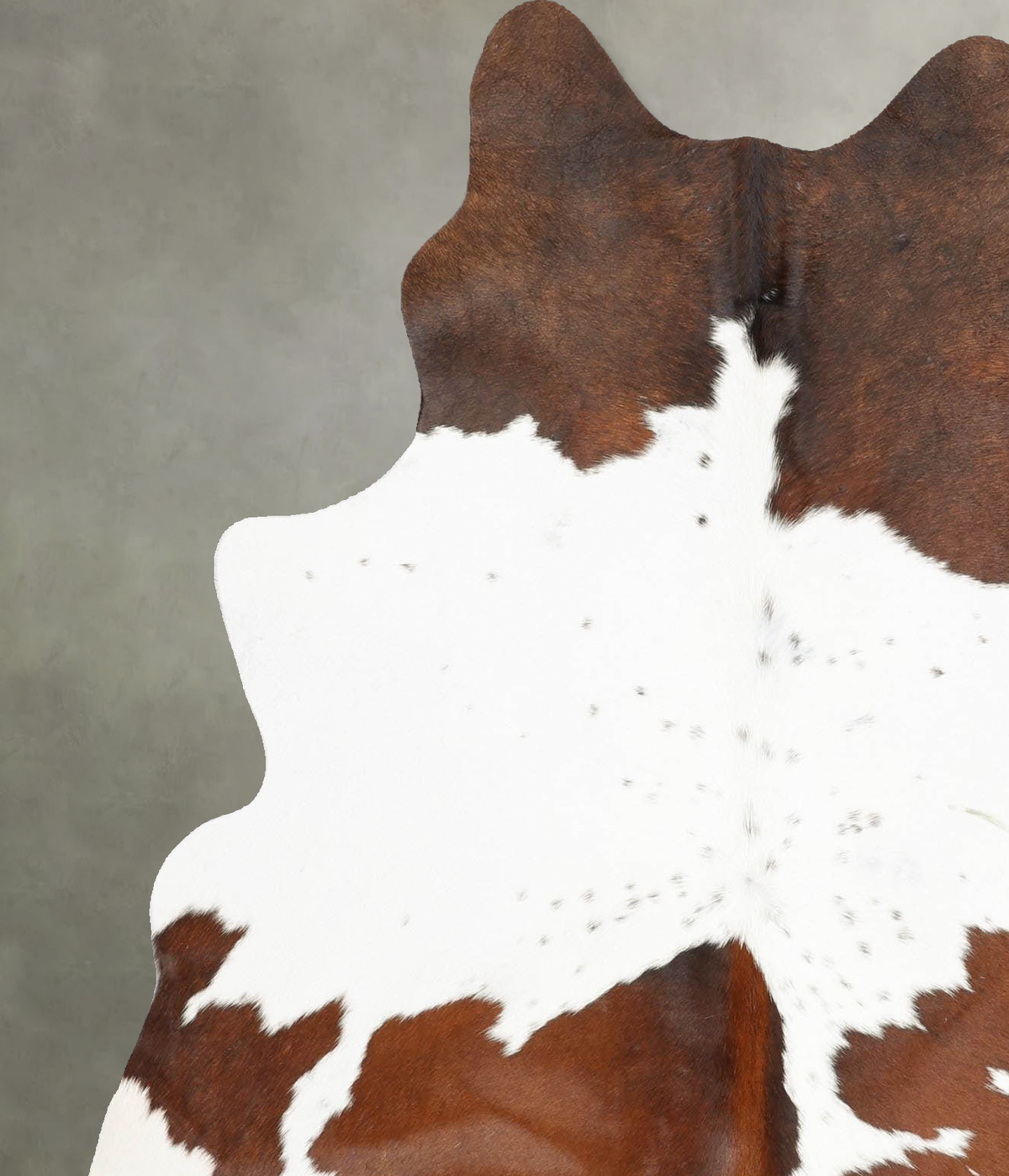 Chocolate and White Large Brazilian Cowhide Rug 6'4"H x 5'2"W #B30946 by Hudson Hides