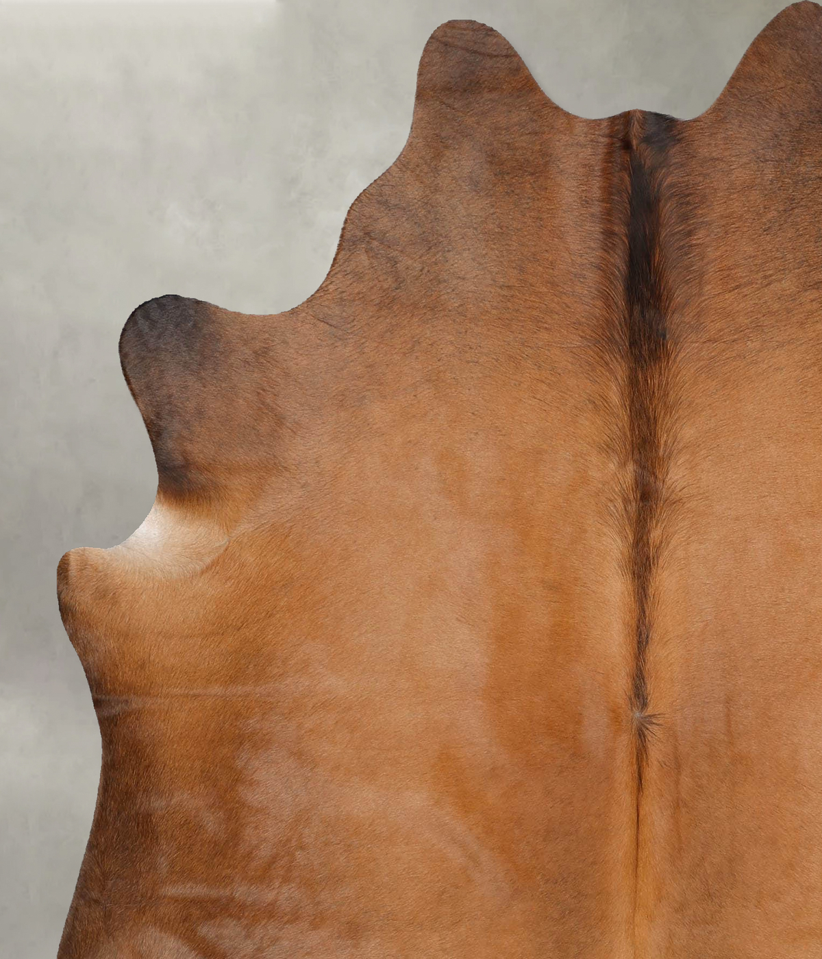 Warm Caramel Large Brazilian Cowhide Rug 6'7"H x 5'11"W #B30948 by Hudson Hides