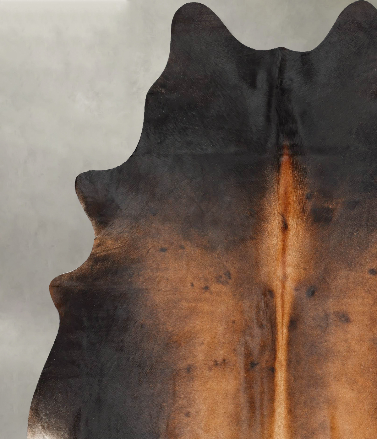 Warm Caramel X-Large Brazilian Cowhide Rug 7'4"H x 6'4"W #B30949 by Hudson Hides
