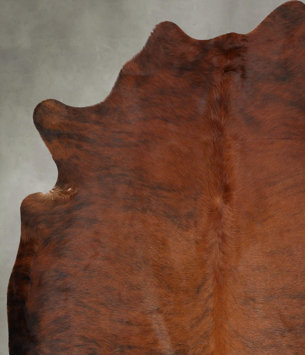 Medium Brindle XX-Large Brazilian Cowhide Rug 7'8"H x 6'9"W #B30964 by Hudson Hides