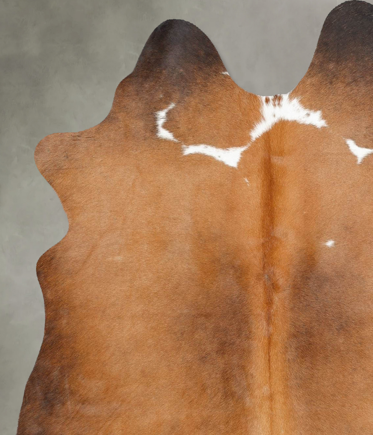 Light Caramel Medium Brazilian Cowhide Rug 5'5"H x 4'5"W #B30976 by Hudson Hides