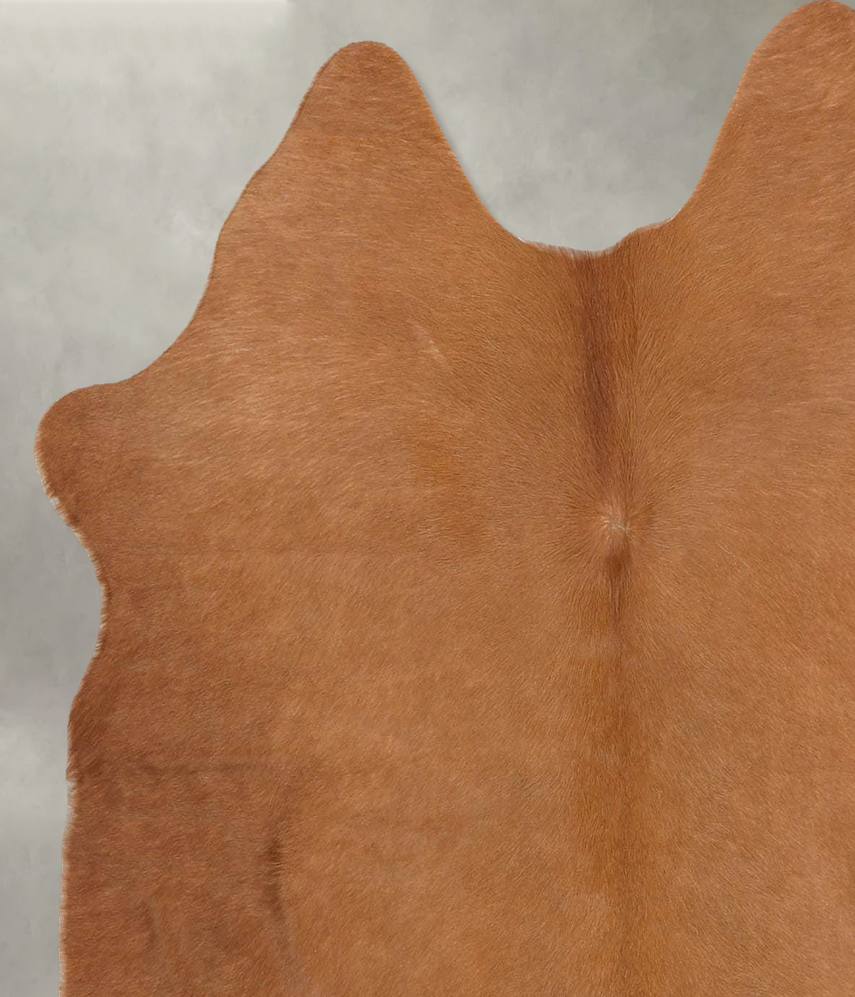 Solid Brown Medium Brazilian Cowhide Rug 4'11"H x 4'7"W #B30983 by Hudson Hides