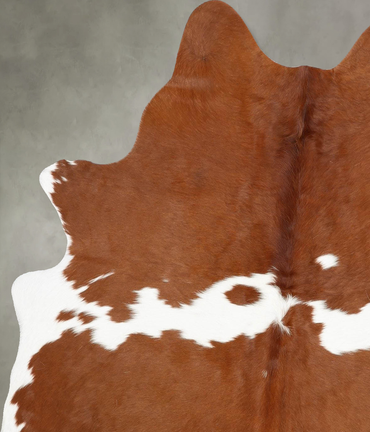 Brown and White Medium Brazilian Cowhide Rug 6'0"H x 4'8"W #B30989 by Hudson Hides