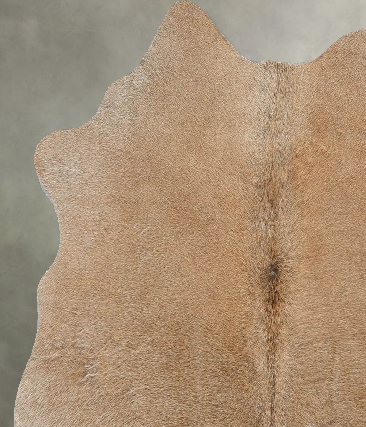 Light Caramel Medium Brazilian Cowhide Rug 4'4"H x 4'3"W #B30992 by Hudson Hides