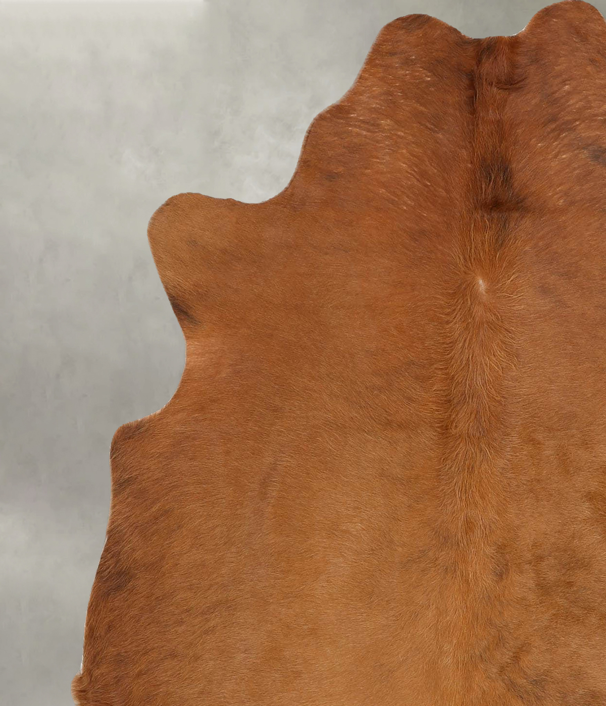 Solid Brown Medium Brazilian Cowhide Rug 5'10"H x 4'11"W #B30995 by Hudson Hides