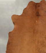 Solid Brown Medium Brazilian Cowhide Rug 5'10"H x 4'11"W #B30995 by Hudson Hides