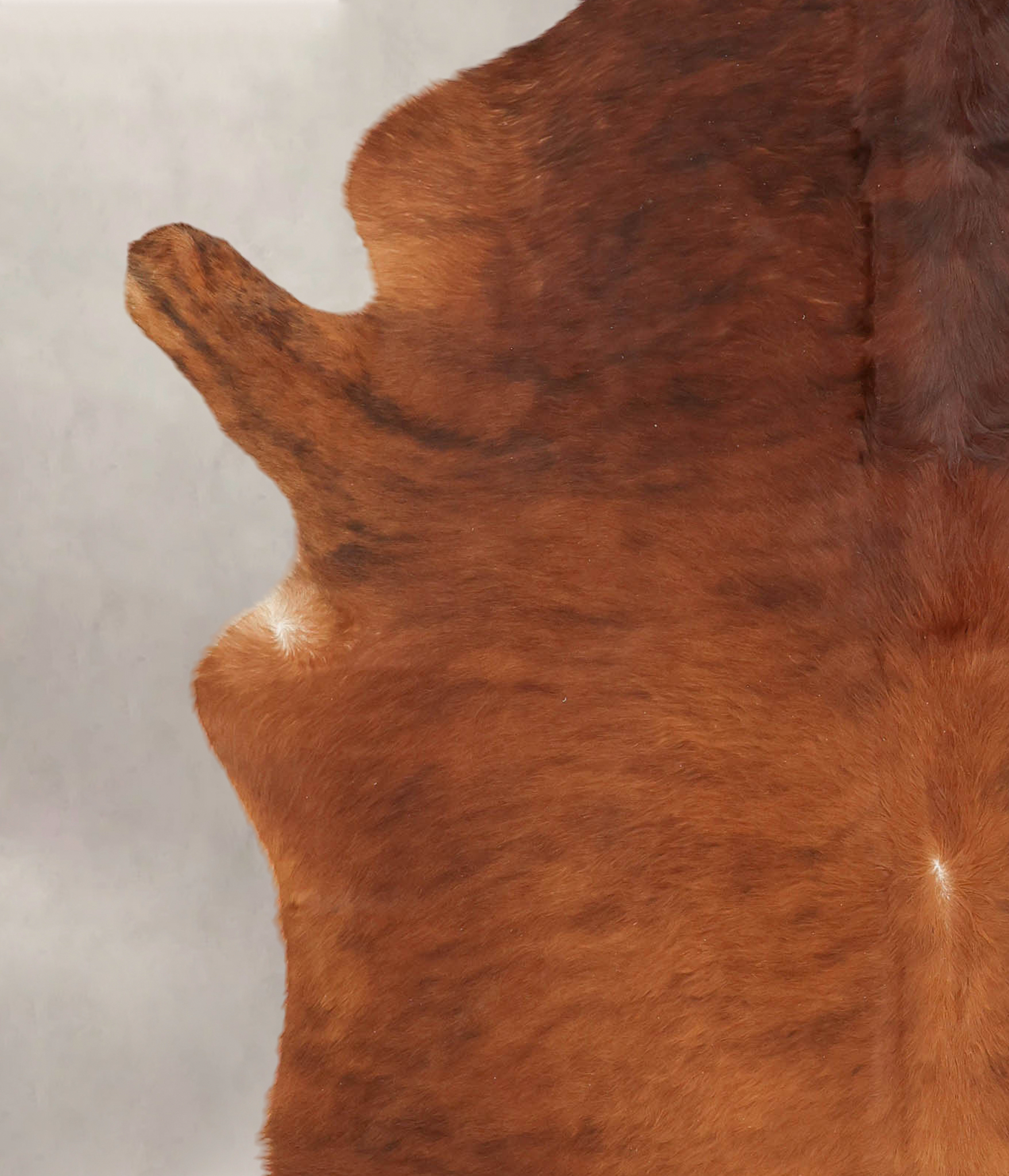 Medium Brindle Cowhide Rug #B3100