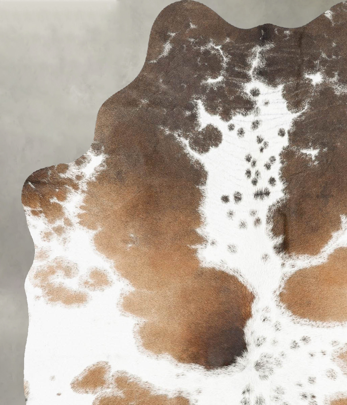 Chocolate and White Medium Brazilian Cowhide Rug 5'7"H x 4'0"W #B31000 by Hudson Hides