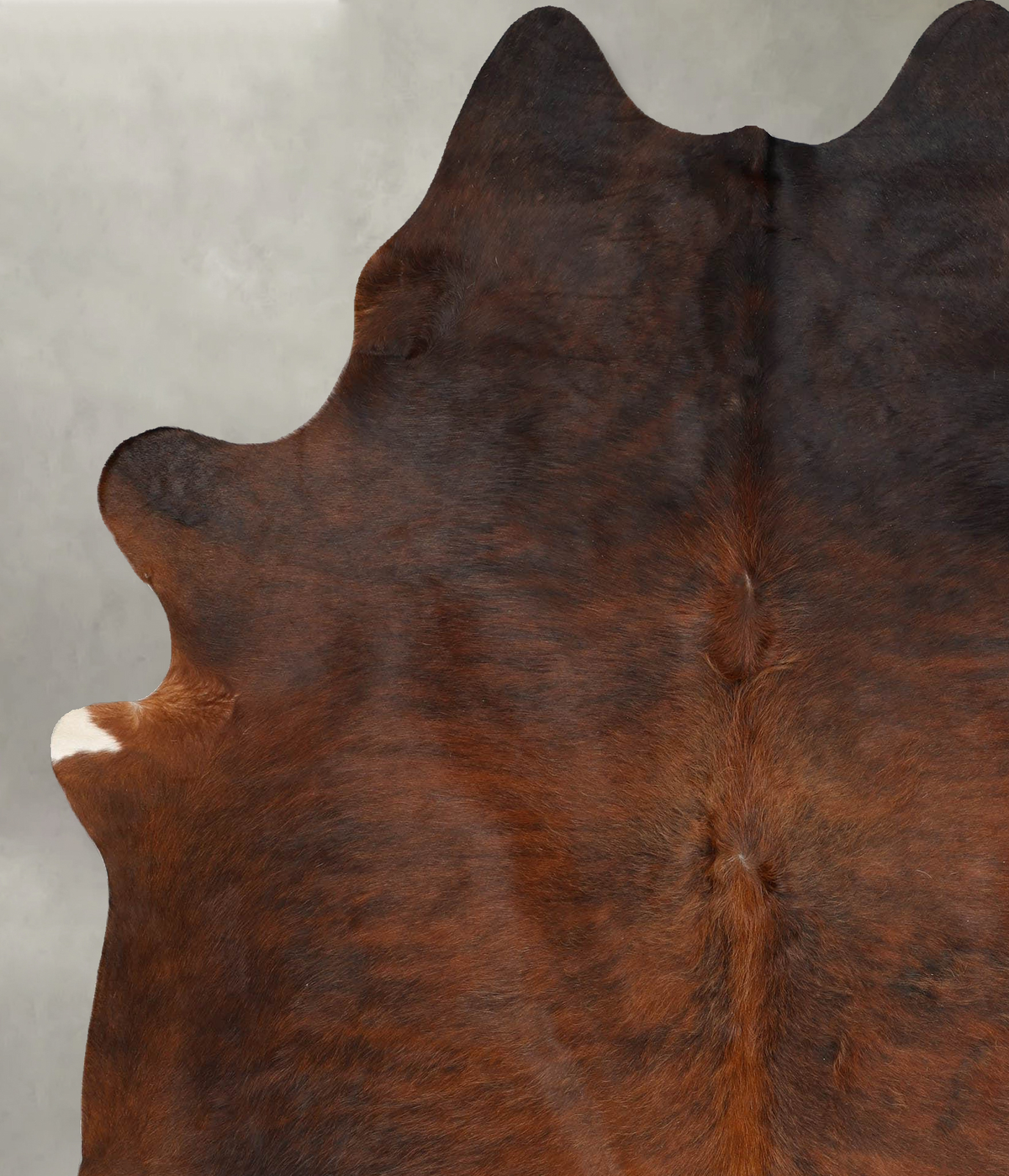 Dark Brindle XX-Large Brazilian Cowhide Rug 7'11"H x 6'6"W #B31003 by Hudson Hides