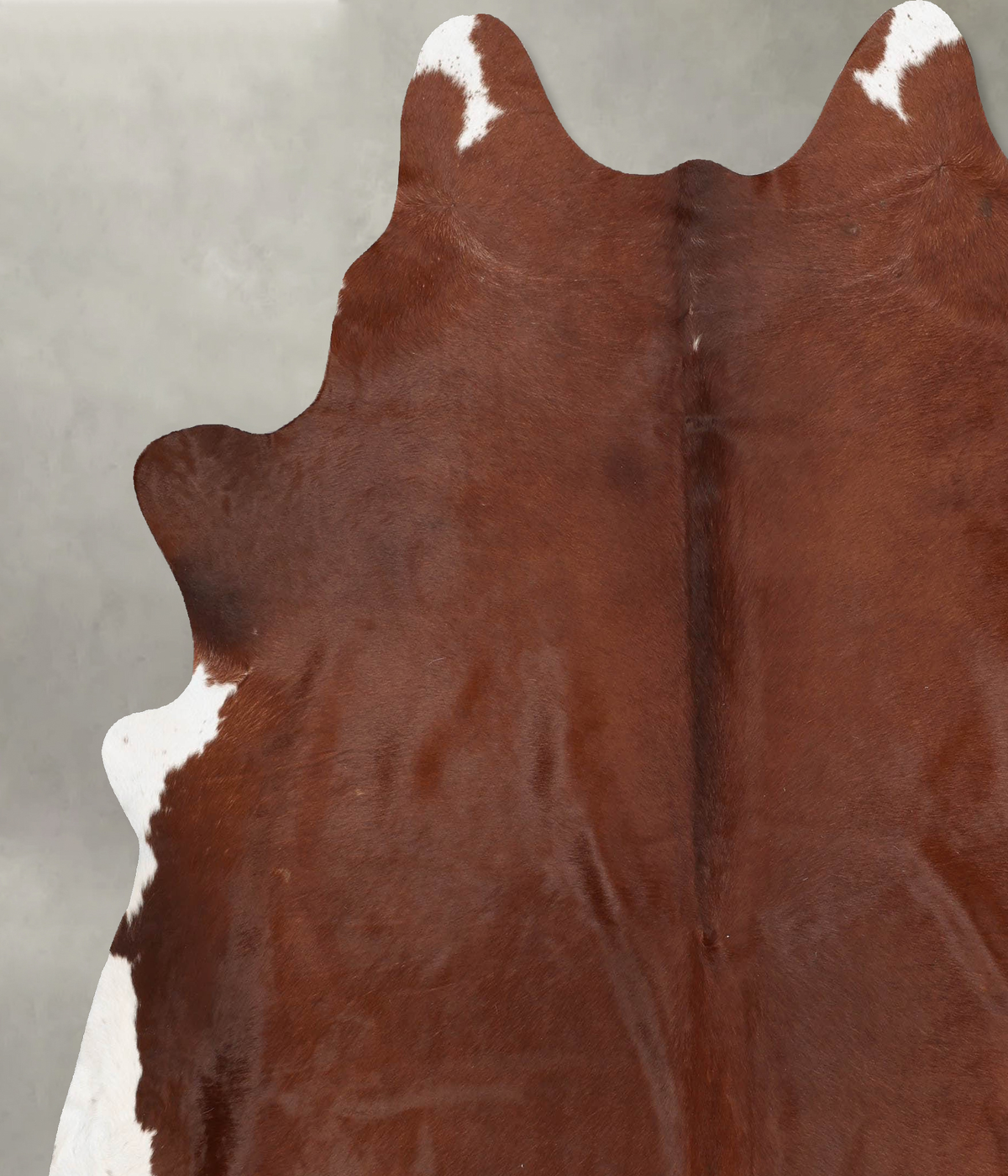 Brown and White Regular XX-Large Brazilian Cowhide Rug 8'1"H x 7'3"W #B31006 by Hudson Hides