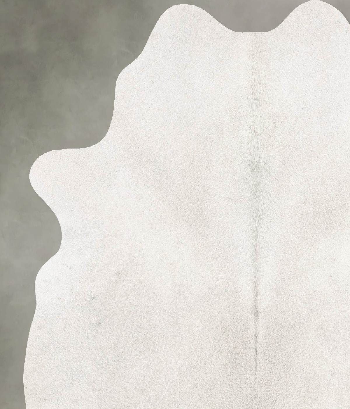 Light Grey Medium Brazilian Cowhide Rug 5'11"H x 5'0"W #B31009 by Hudson Hides