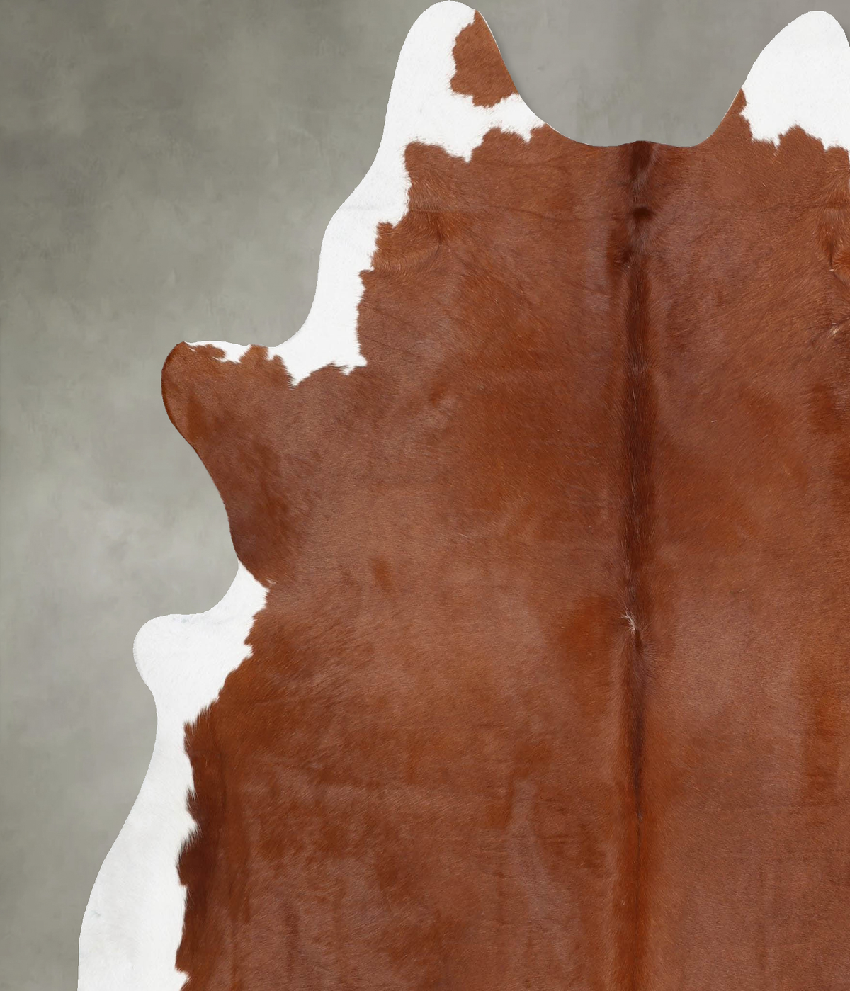 Brown and White Regular XX-Large Brazilian Cowhide Rug 7'8"H x 6'10"W #B31019 by Hudson Hides