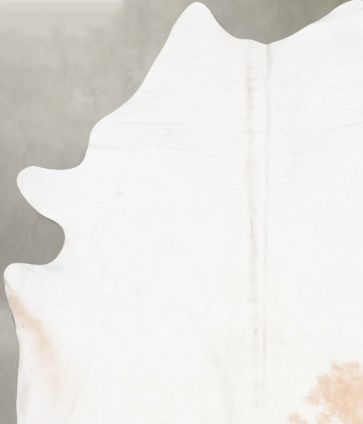 Ivory with Beige XX-Large Brazilian Cowhide Rug 8'5"H x 6'7"W #B31020 by Hudson Hides
