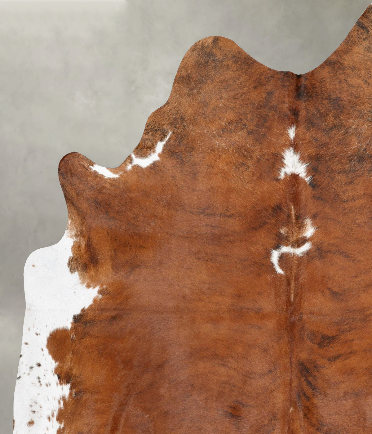 Medium Brindle XX-Large Brazilian Cowhide Rug 7'11"H x 6'6"W #B31023 by Hudson Hides