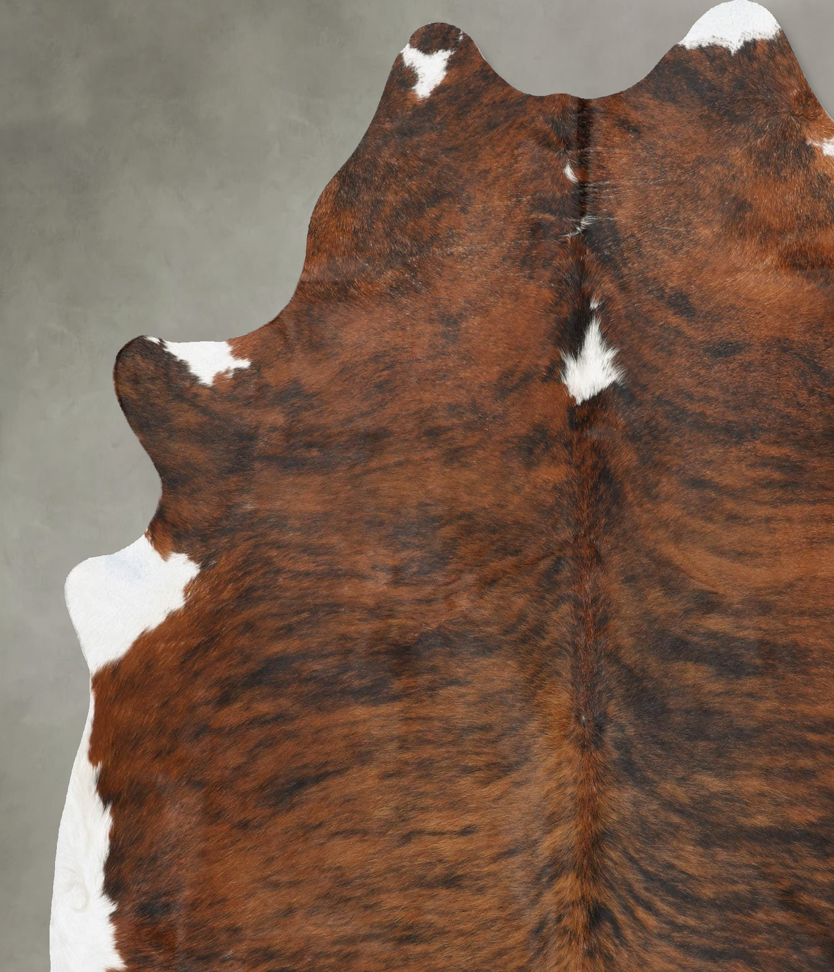 Medium Brindle XX-Large Brazilian Cowhide Rug 7'11"H x 6'8"W #B31025 by Hudson Hides