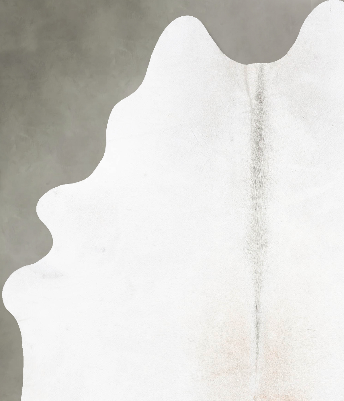 Light Grey X-Large Brazilian Cowhide Rug 7'10"H x 5'10"W #B31029 by Hudson Hides