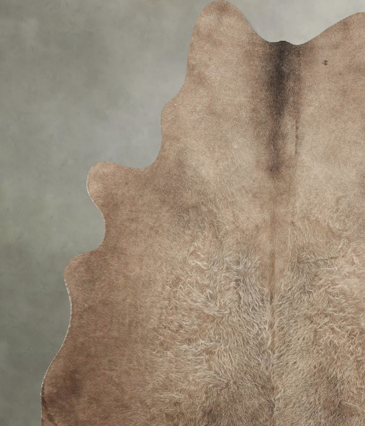 Taupe Large Brazilian Cowhide Rug 6'4"H x 5'5"W #B31038 by Hudson Hides