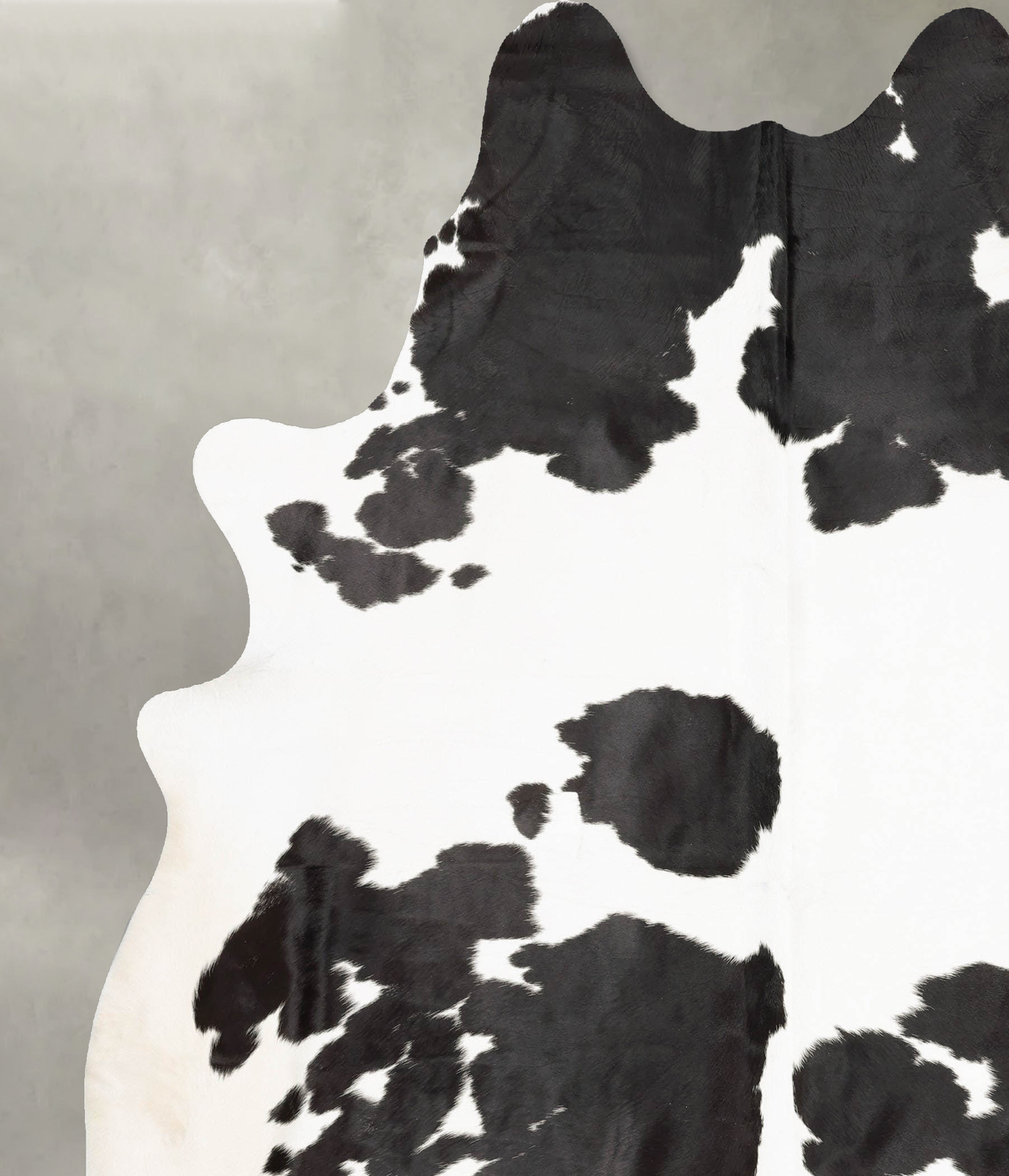 Black and White XX-Large Brazilian Cowhide Rug 8'4"H x 7'1"W #B31041 by Hudson Hides