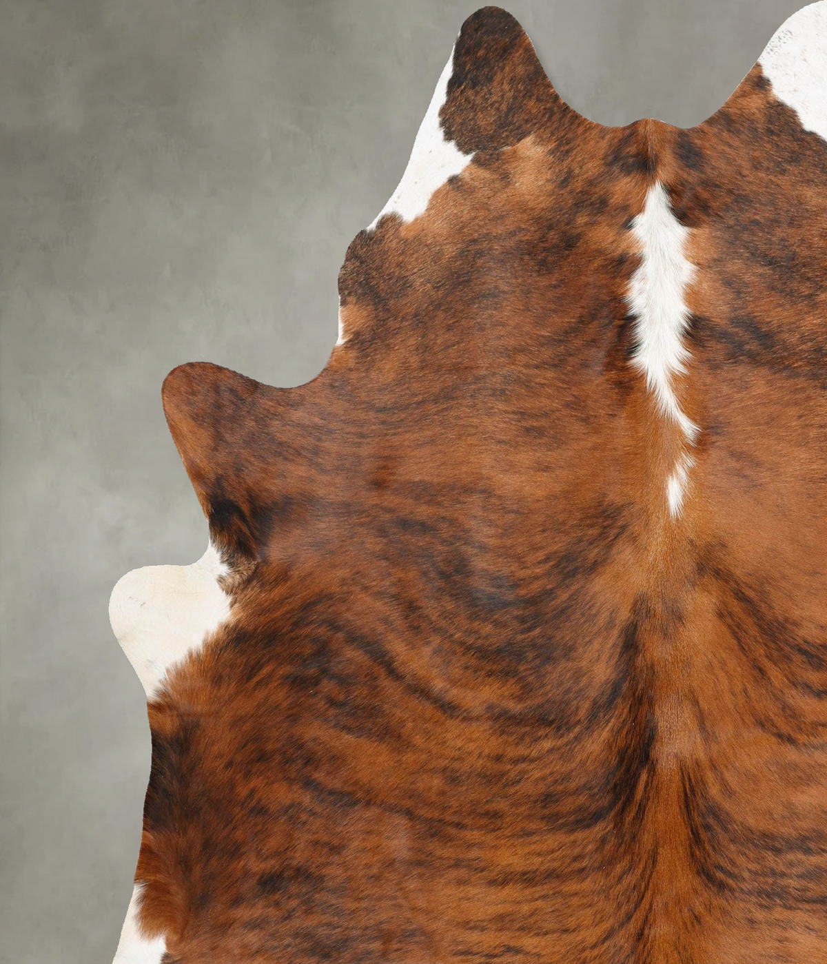 Medium Brindle XX-Large Brazilian Cowhide Rug 7'9"H x 6'6"W #B31042 by Hudson Hides
