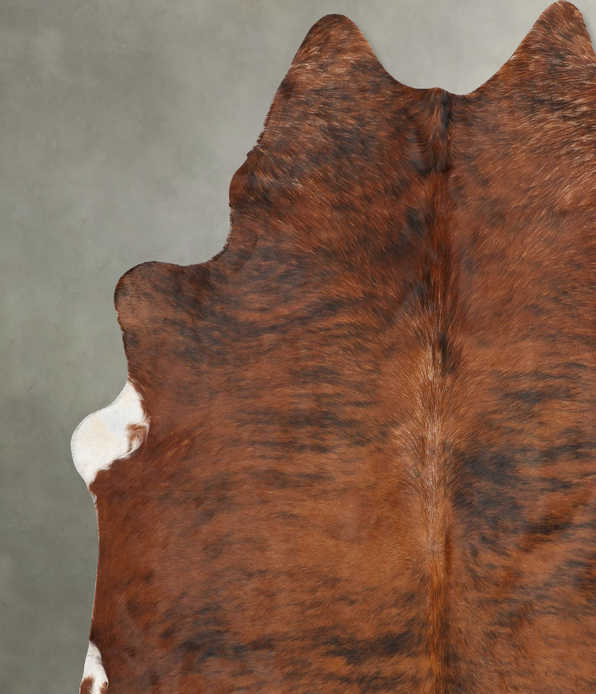 Medium Brindle XX-Large Brazilian Cowhide Rug 7'7"H x 7'2"W #B31044 by Hudson Hides